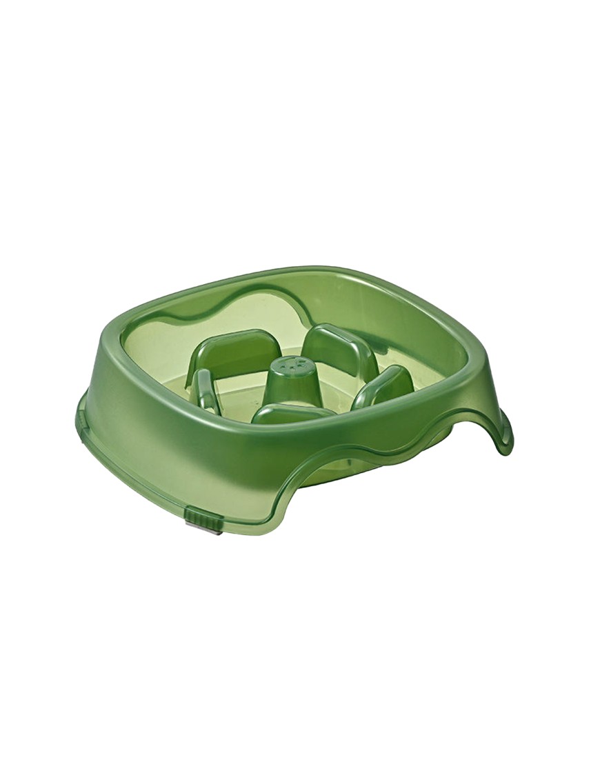 Slow Feeding Pet Bowl