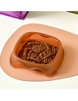 Slow Feeding Pet Bowl