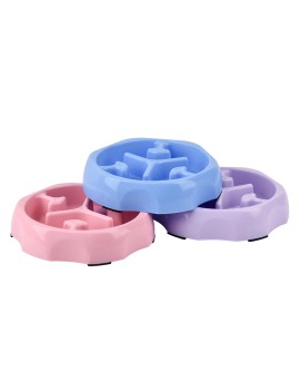 All in One Pet Slow Feeding Bowl