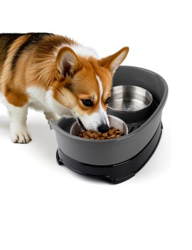 Elevated Cat and Dog Feeding Bowl
