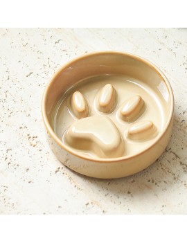 Ceramic Pet Bowl