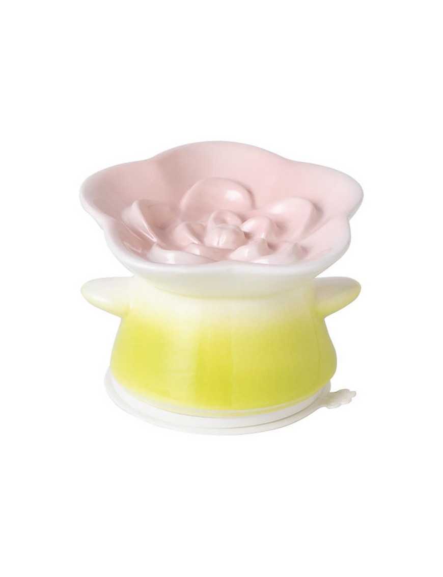 Ceramic Elevated Pet Bowl