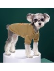 Pet Teddy Bear Print Sweatshirt