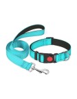Reflective Nylon Collar Set