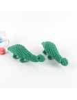 Dinosaur Pet Toy
