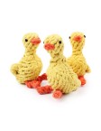 Rubber Duck Pet Toy