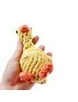 Rubber Duck Pet Toy