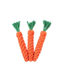 Carrot Pet Toy