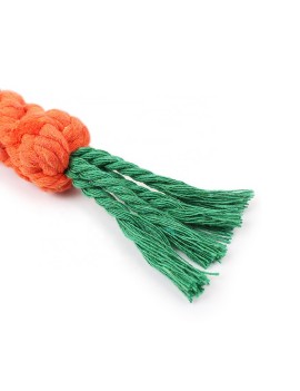Carrot Pet Toy