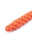 Carrot Pet Toy