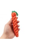 Carrot Pet Toy