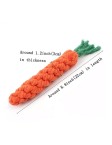 Carrot Pet Toy