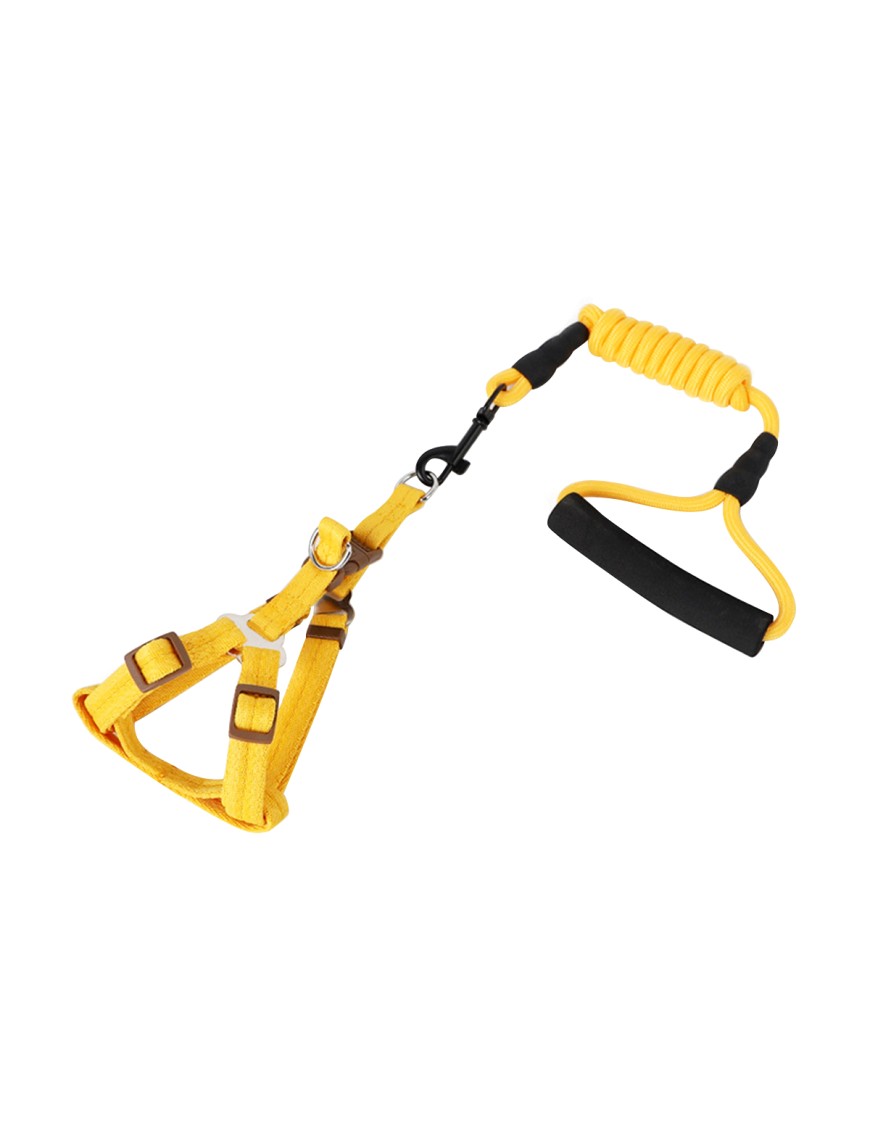 Sturdy and Comfortable Leash Set