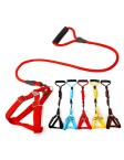 Sturdy and Comfortable Leash Set