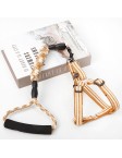 Dog Harness Leash Set