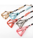 Dog Harness Leash Set