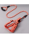 Dog Harness Leash Set