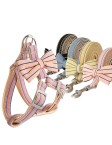 Bow Tie Stripe Harness Set