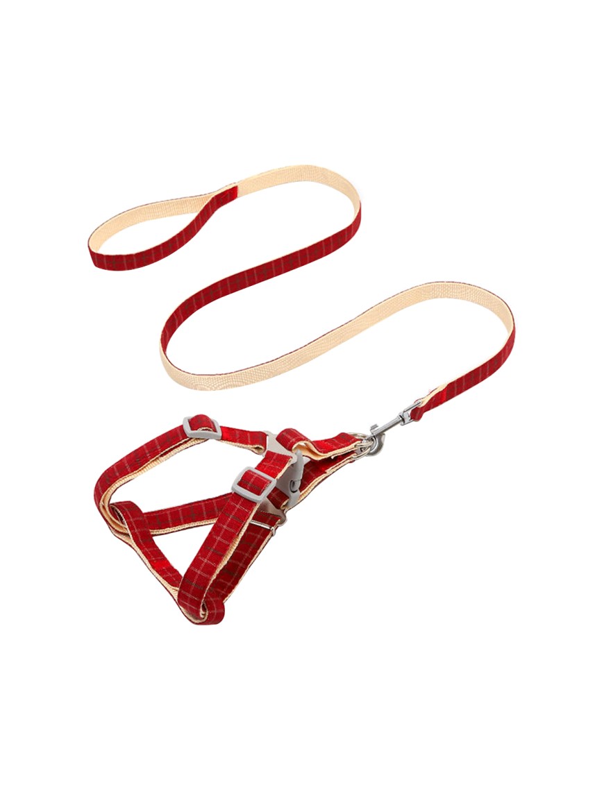 Checkered Pet Leash Set