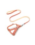 Checkered Pet Leash Set