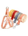 Checkered Pet Leash Set