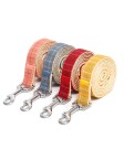 Checkered Pet Leash Set