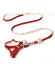 High Quality Nylon Dog Harness Set