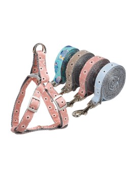 Floral Harness and Leash Set