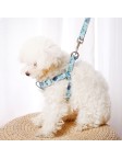 Floral Harness and Leash Set