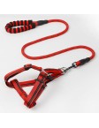 Reflective Dog Leash Set