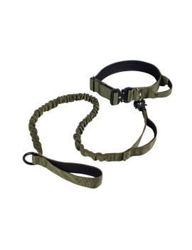 Nylon Dog Collar and Leash Set