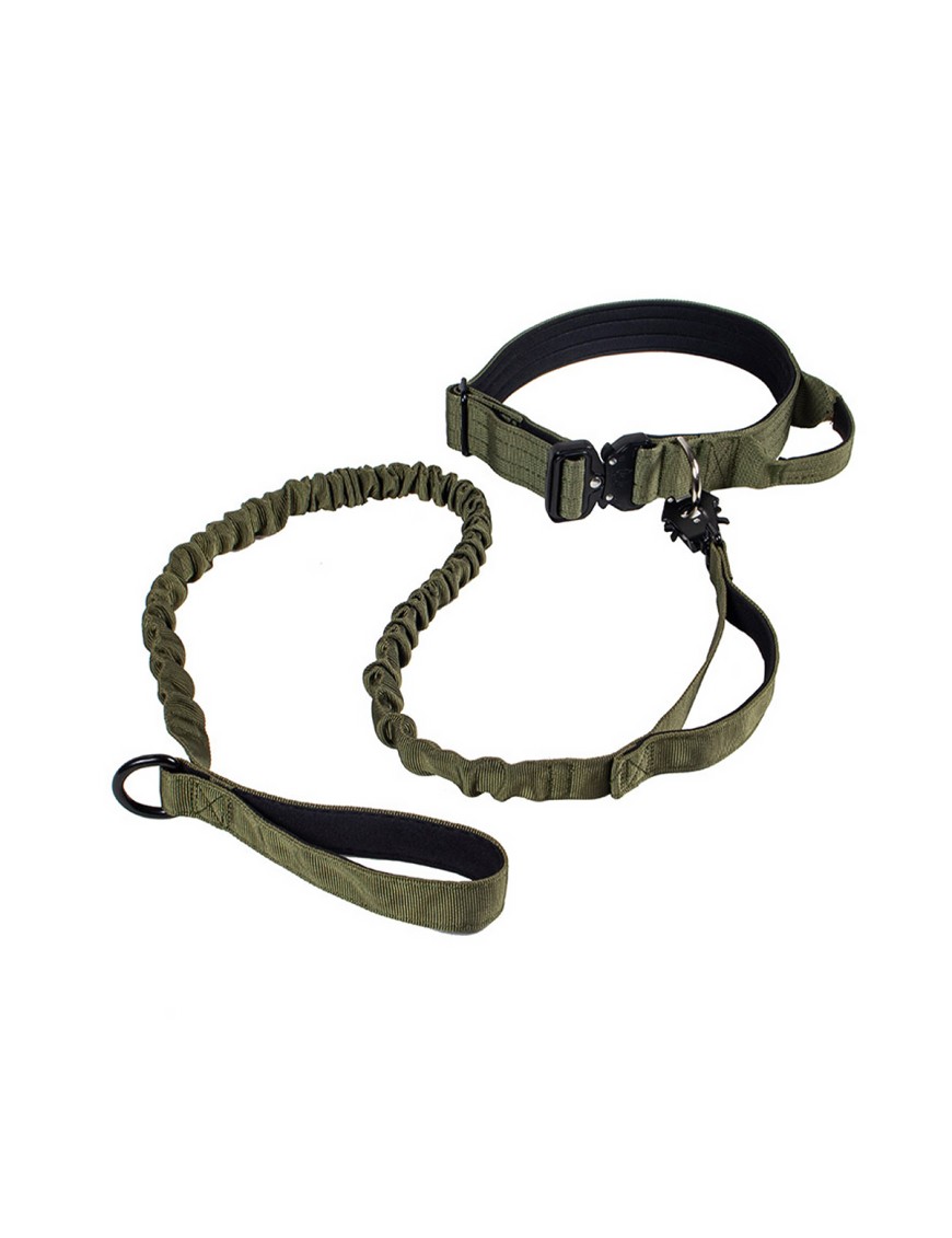 Nylon Dog Collar and Leash Set