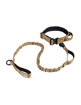 Nylon Dog Collar and Leash Set