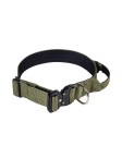 Nylon Dog Collar and Leash Set