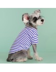 Contrast Stripe Pet Polo Shirt